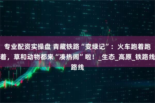 专业配资实操盘 青藏铁路“变绿记”：火车跑着跑着，草和动物都来“凑热闹”啦！_生态_高原_铁路线